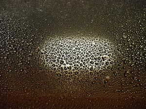 Wassertropfen