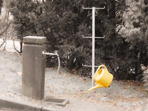 gelbe Kanne