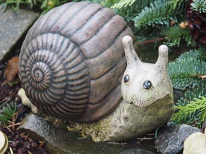Steinschnecke