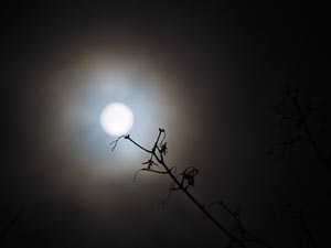 Vollmond