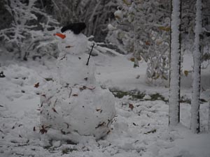 Schneemann mit Schleife