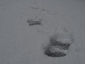 Spuren im Schnee