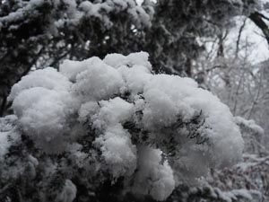 Pulverschnee