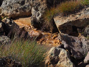 mineralhaltiges Wasser