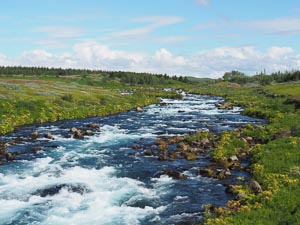 klares Flusswasser