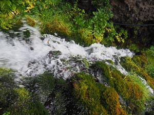 Mensch im Fluss?