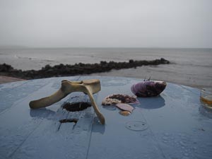 Strandfunde