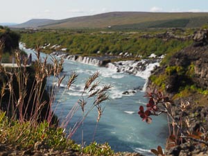 Gras vor Hraunfossar 