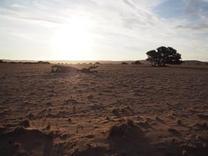 Abendsonne