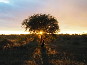 Sonnenuntergang