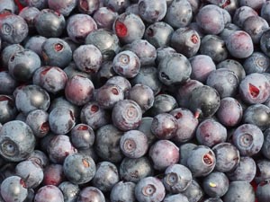 Blaubeeren