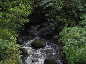 Seitenfluss