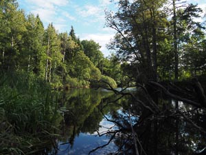 Wasserhindernis