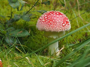 TODO Bildbeschreibung6 einfügen