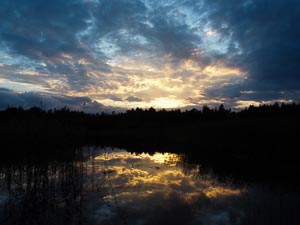 Landschaft aus Schweden