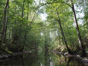 dem Fluss folgen