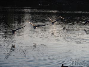 Abflug